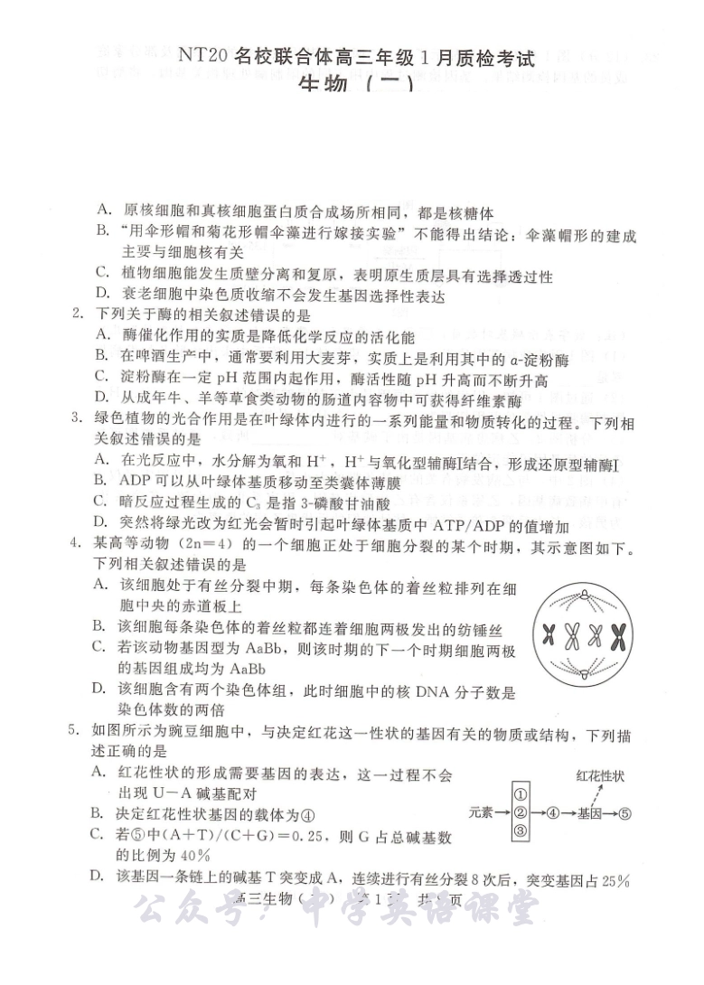 NT20名校联合体高三年级1月质检考试生物.pdf_第1页