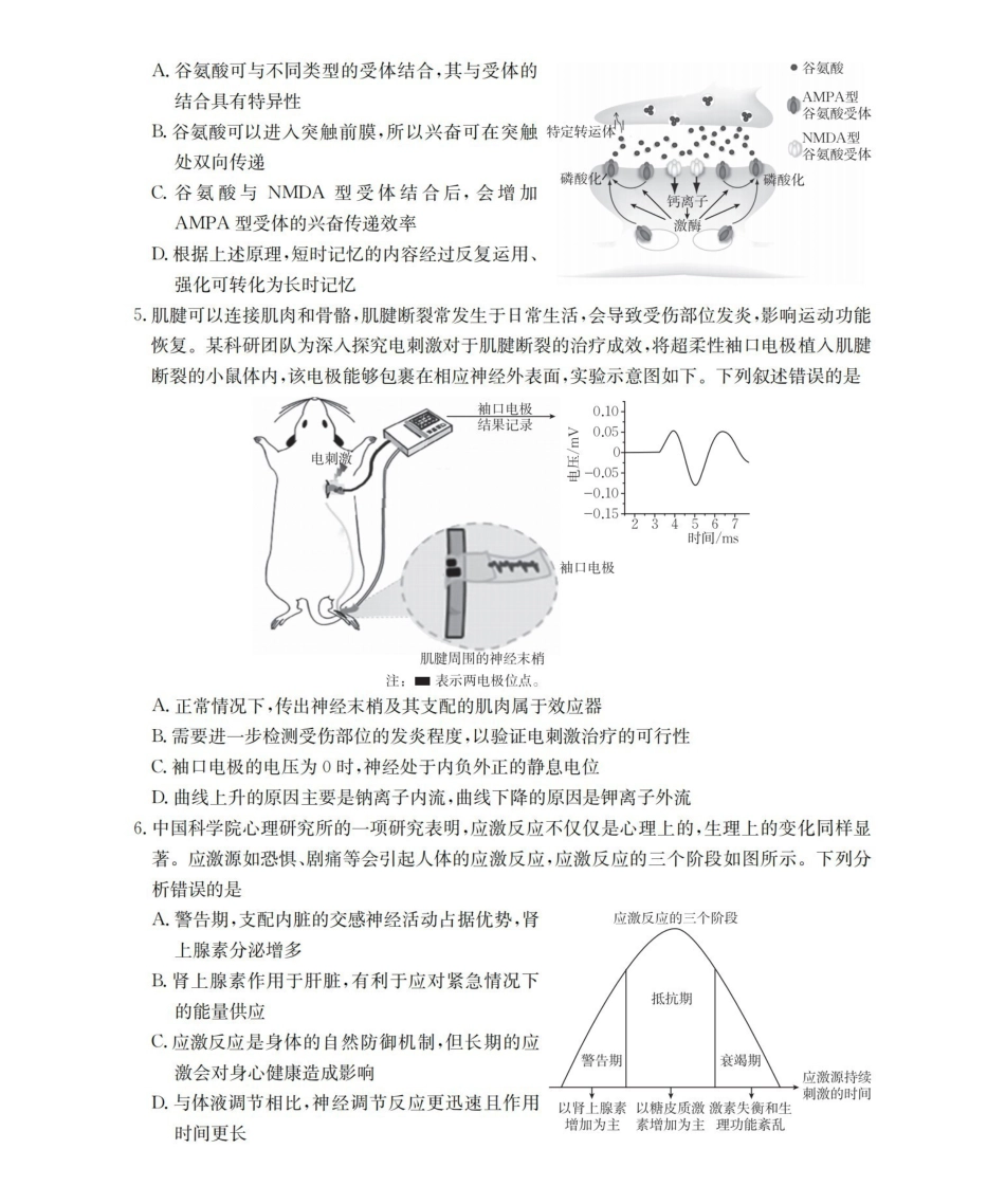 安徽2025-2026学年高二上学期12月月考（26-161B）生物.pdf_第2页