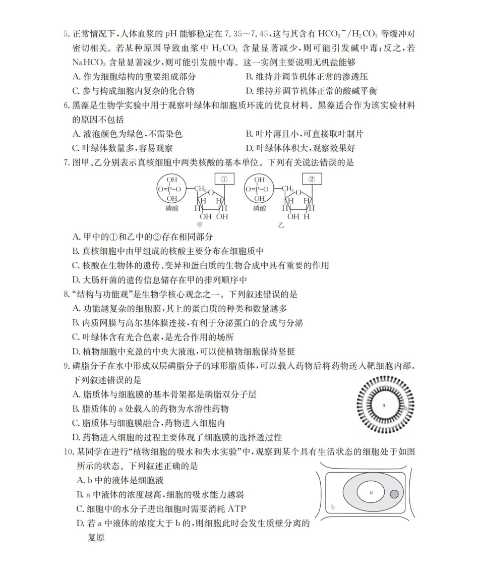 安徽2025-2026学年高一上学期12月月考（26-161A）生物.pdf_第2页