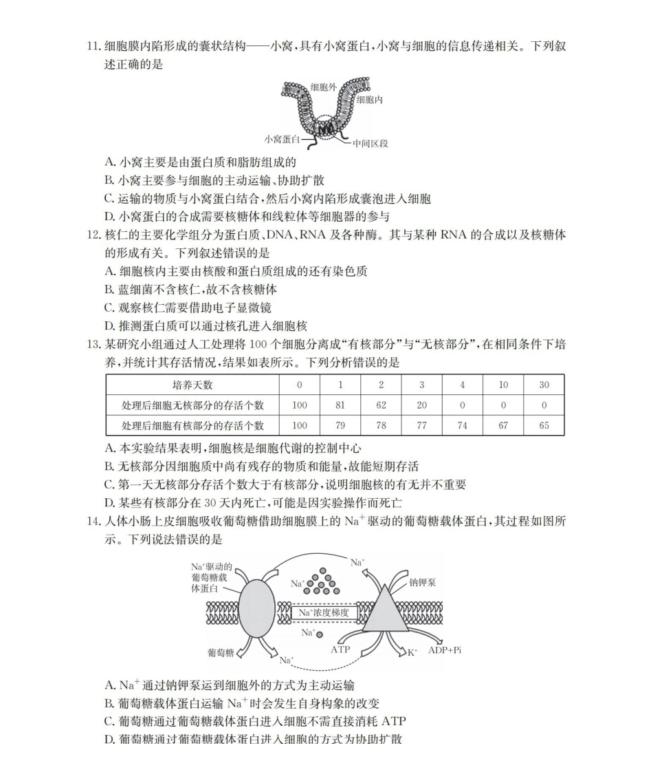 安徽2025-2026学年高一上学期12月月考（26-161A）生物.pdf_第3页