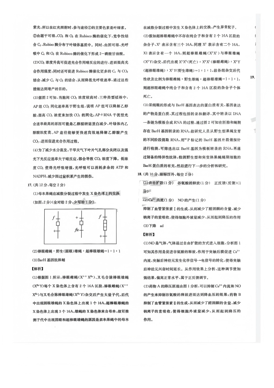 巴中市普通高中2023级“一诊”模拟考试生物答案.pdf_第3页