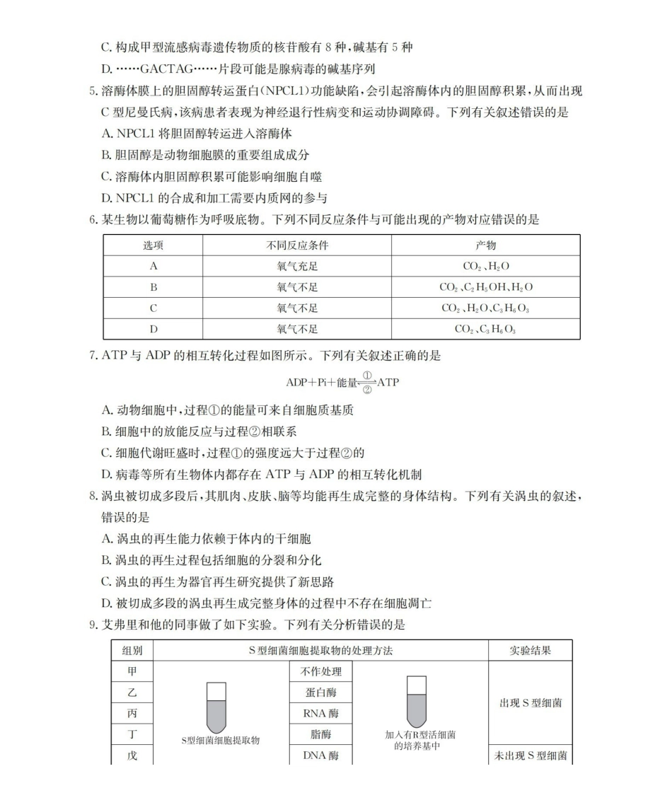 甘肃2026届高三上学期12月阶段性考试（26-158C）生物.pdf_第2页