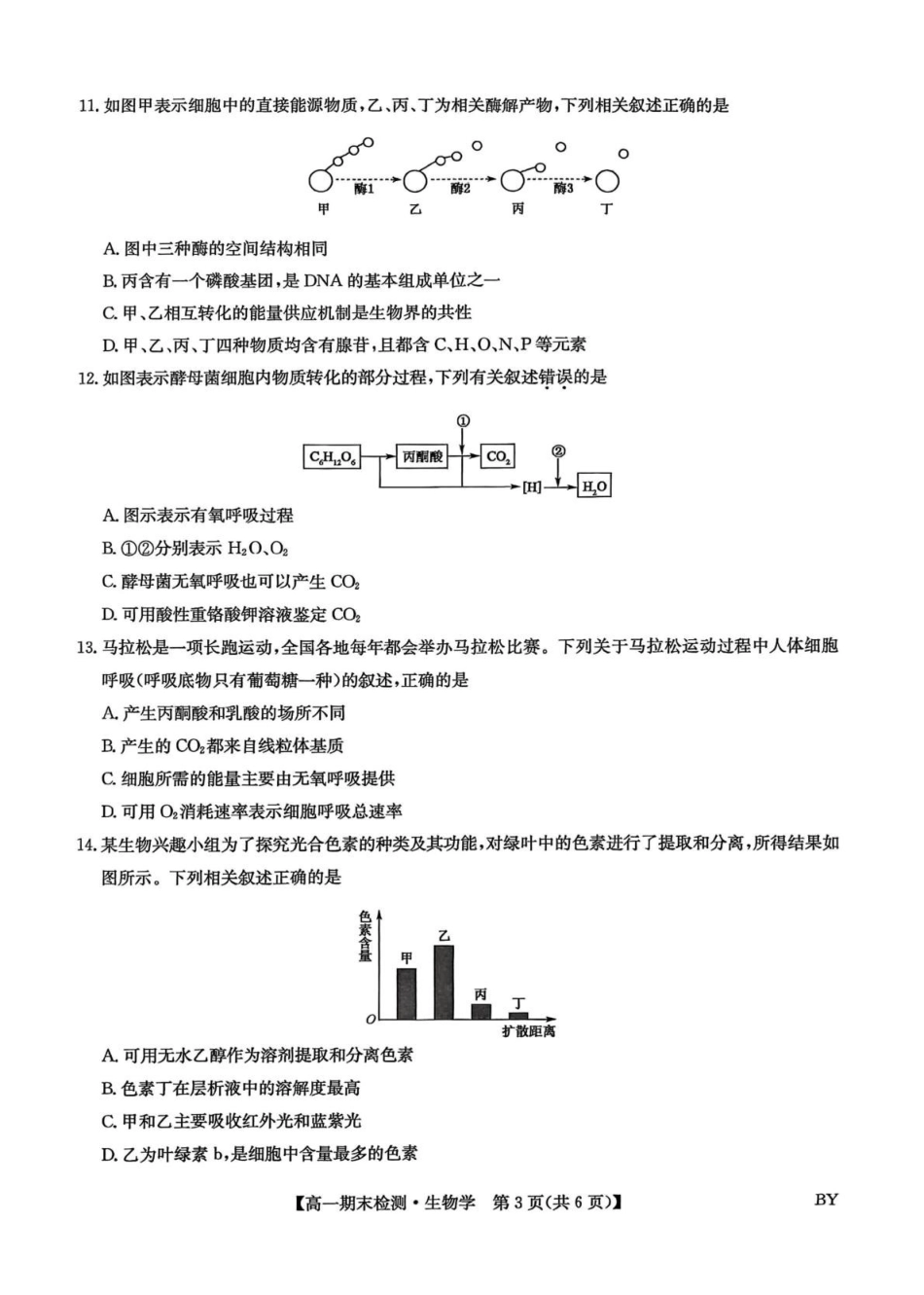 甘肃靖远县第一中学2025-2026学年第一学期期末高一生物学试题.pdf_第3页