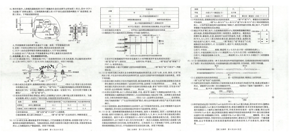 广西2026届高三上学期12月联考生物.pdf_第2页