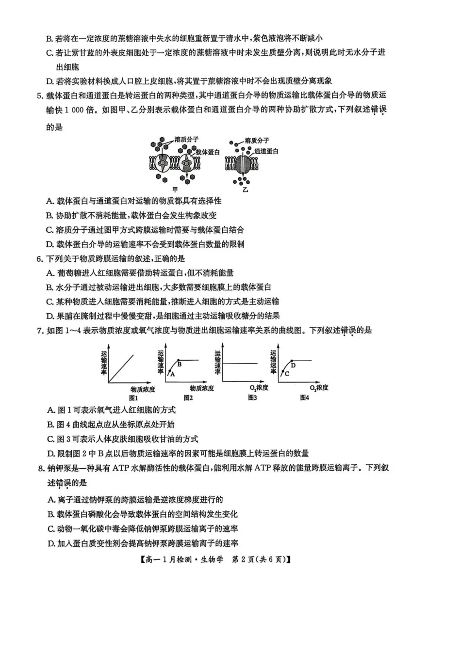 河南洛阳市强基联盟2025-2026学年高一上学期1月月考生物试题含答案.pdf_第2页