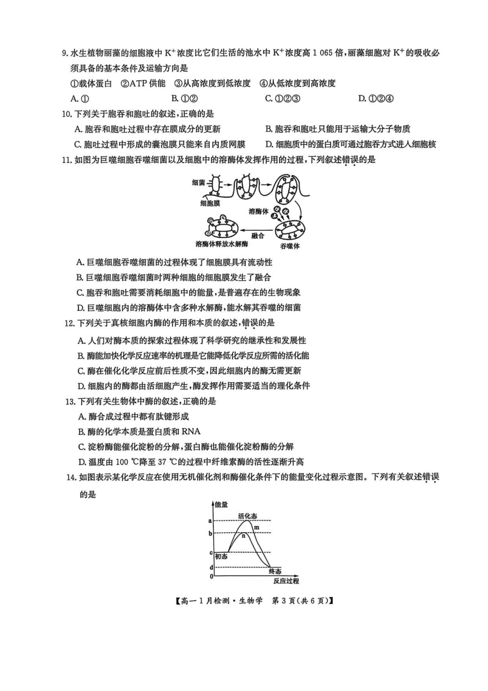 河南洛阳市强基联盟2025-2026学年高一上学期1月月考生物试题含答案.pdf_第3页