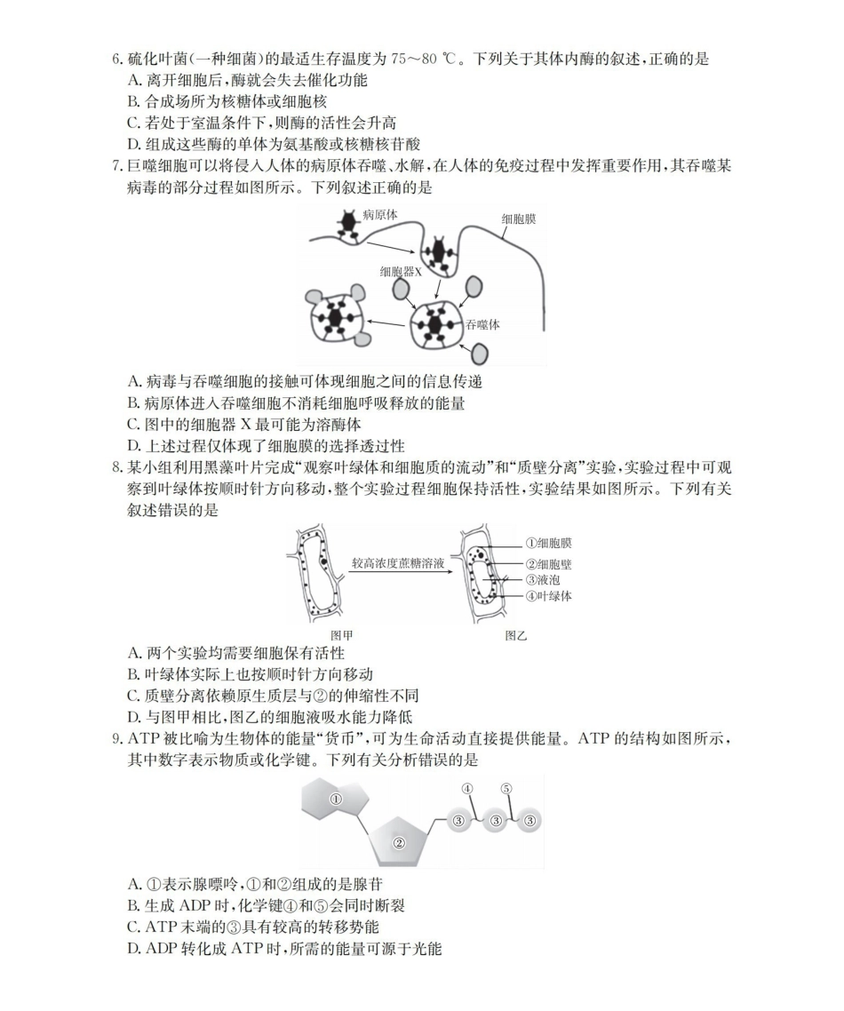 河南南阳地区2025-2026学年高一上学期12月阶段考试卷（26-176A）生物.pdf_第2页