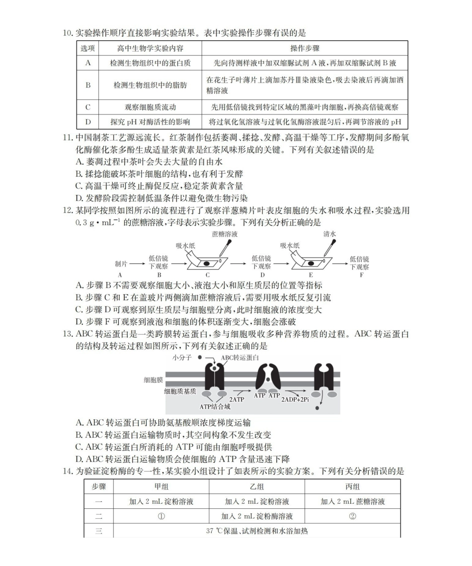 河南南阳地区2025-2026学年高一上学期12月阶段考试卷（26-176A）生物.pdf_第3页
