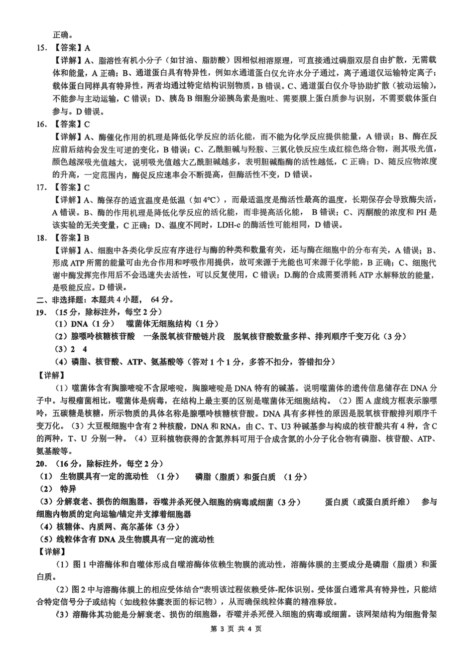 湖北百强高中名校2025-2026学年高一上学期12月月考生物试题答案.pdf_第3页
