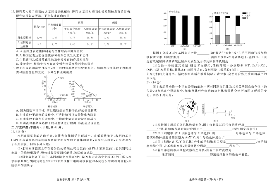 湖北衡水金卷2026届高三上学期12月联考生物.pdf_第3页