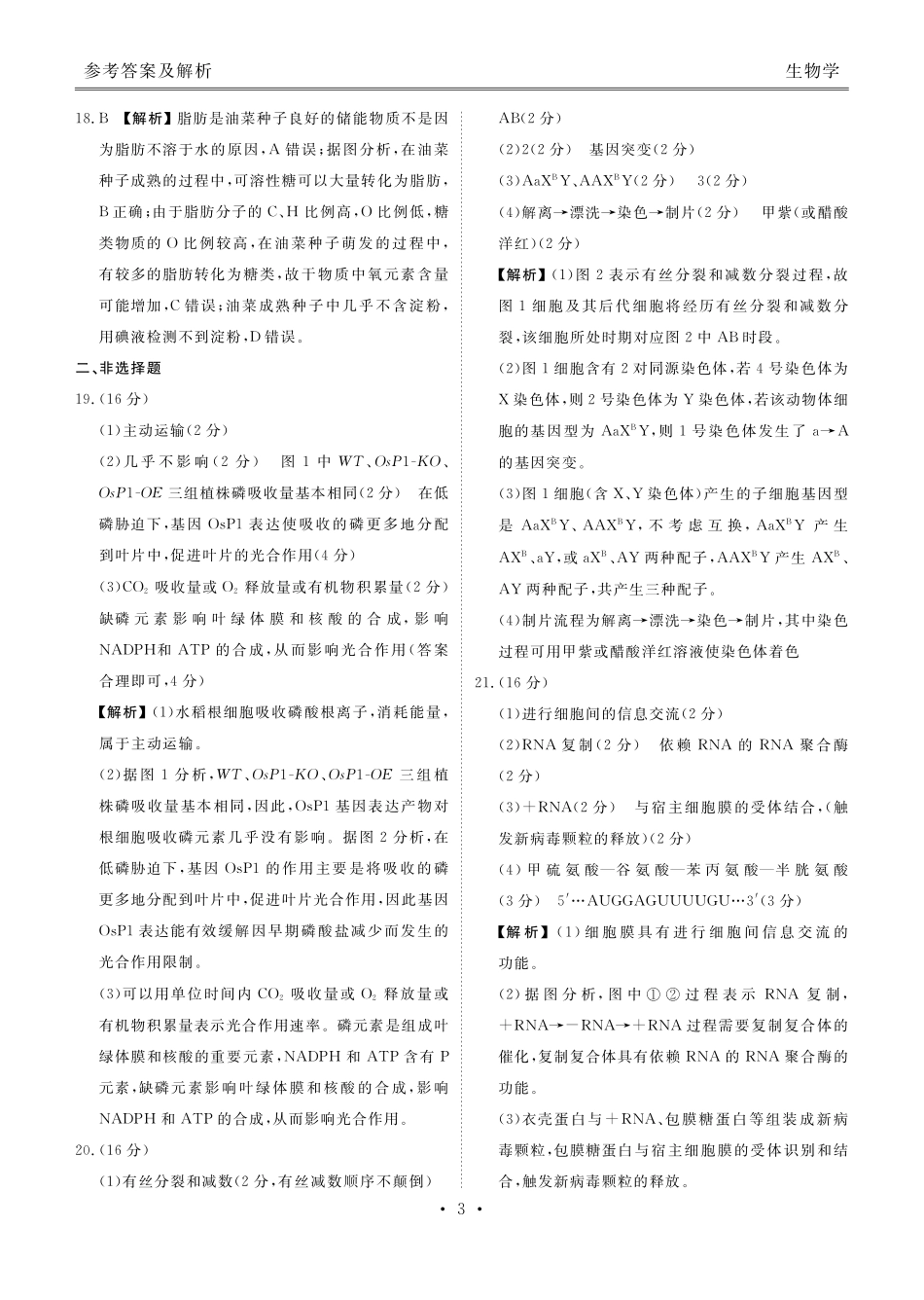 湖北衡水金卷2026届高三上学期12月联考生物答案.pdf_第3页