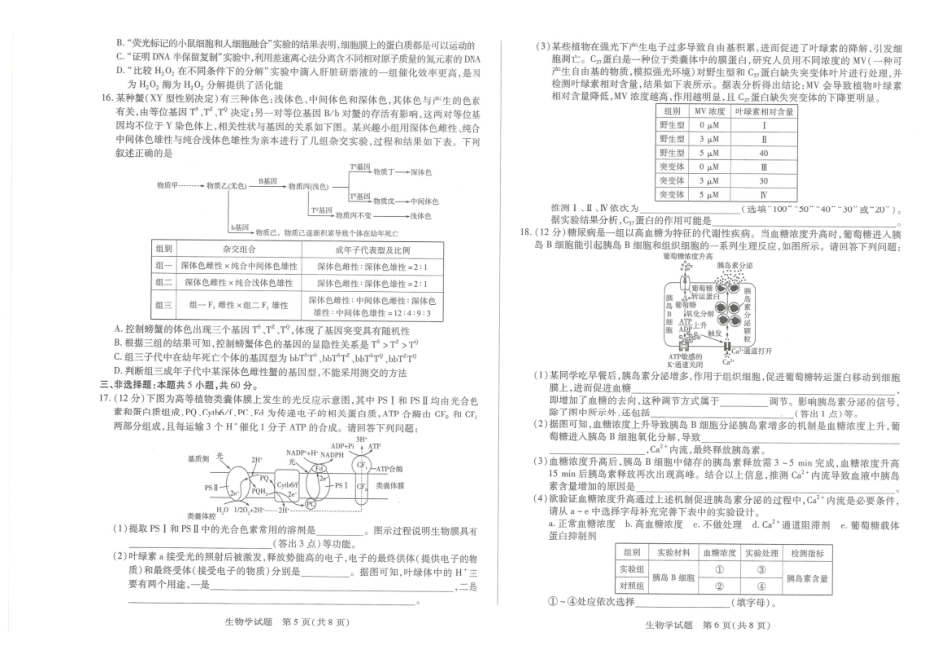 湖南湘一名校联盟2026届高三上学期12月质量检测生物.pdf_第3页