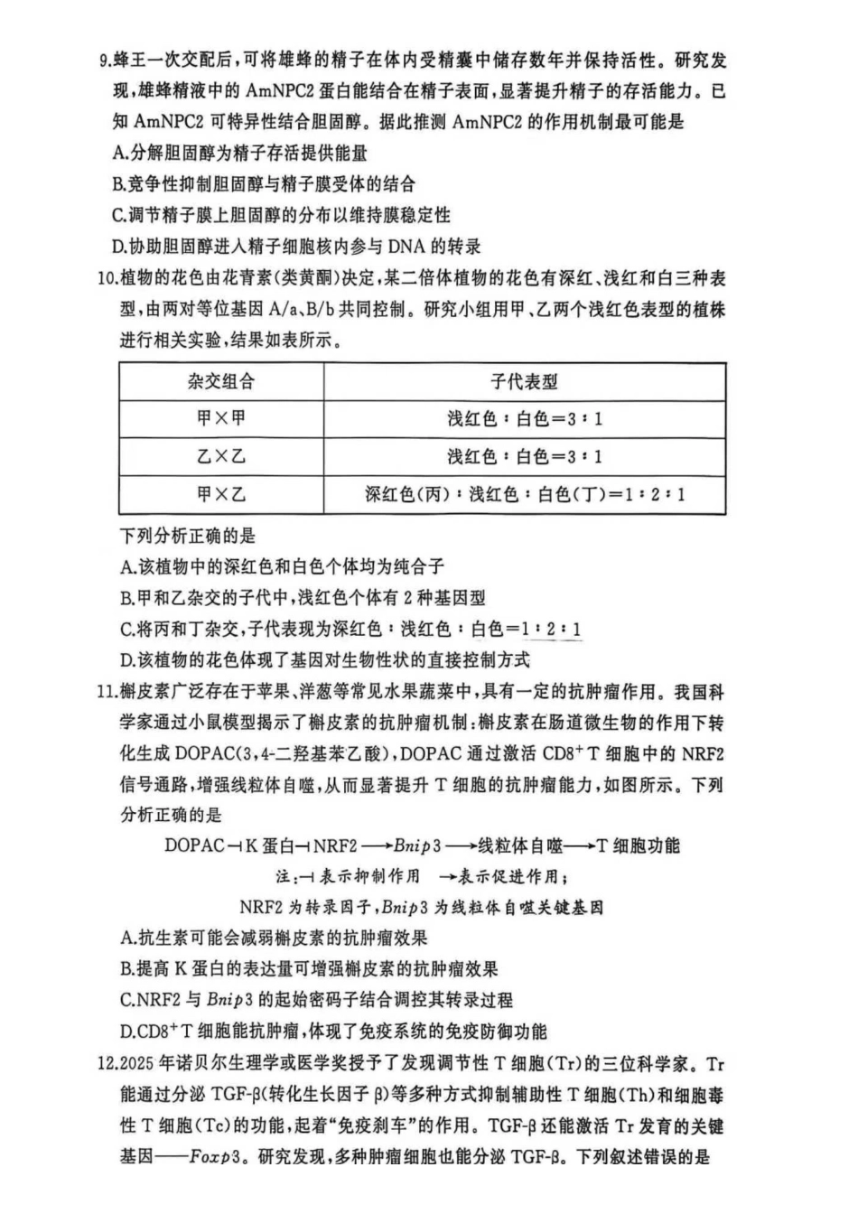 黄冈市2025年秋季高三年级1月期末考试生物.pdf_第3页