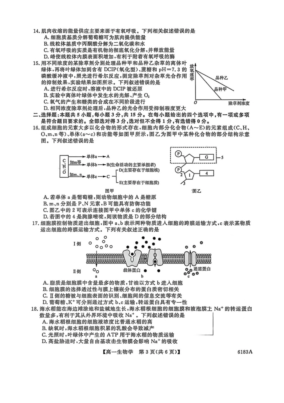 吉林吉林市外五县各高中2025-2026学年高一上学期1月期末考试生物试卷(含解析).pdf_第3页