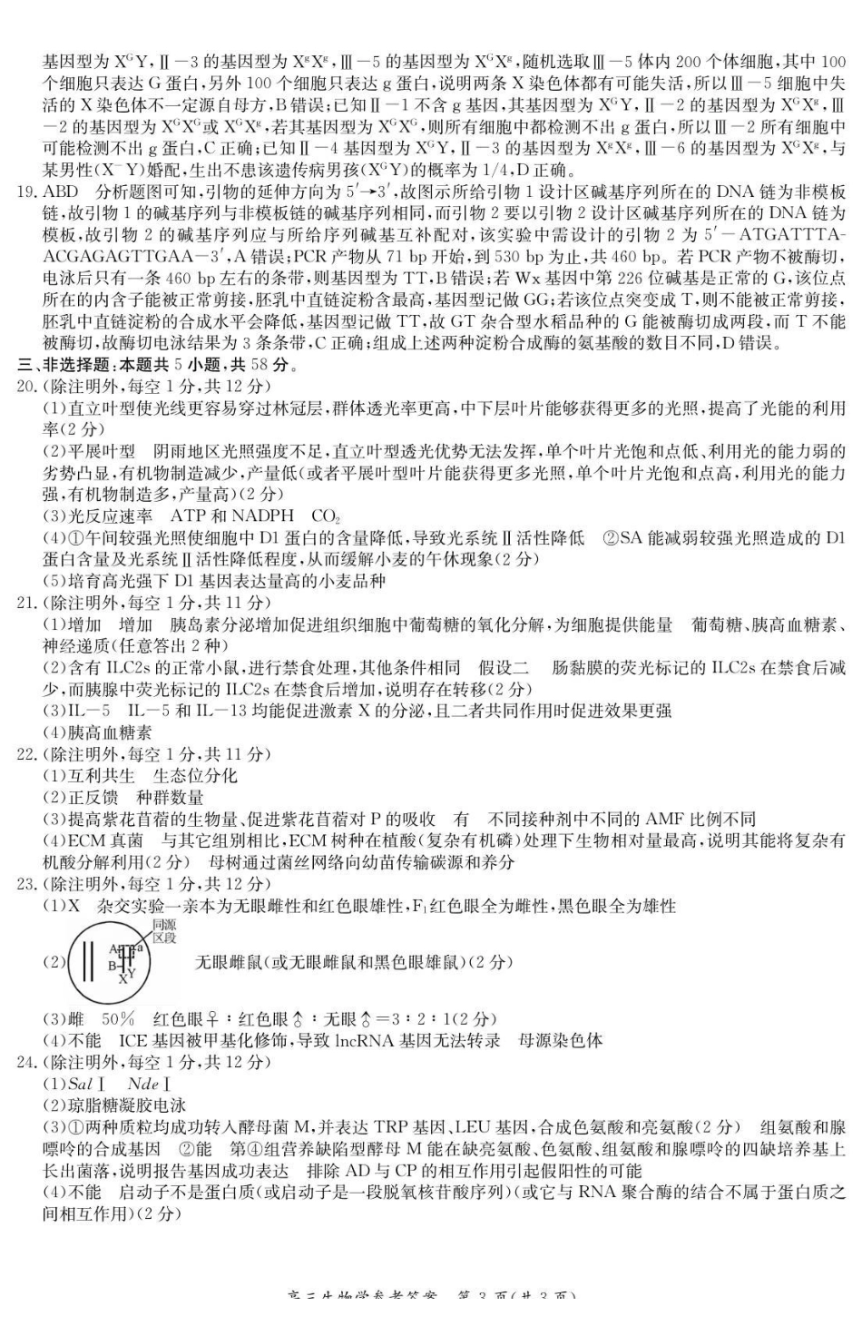 江苏新高考基地学校2026届高三上学期第一次大联考生物答案.pdf_第3页