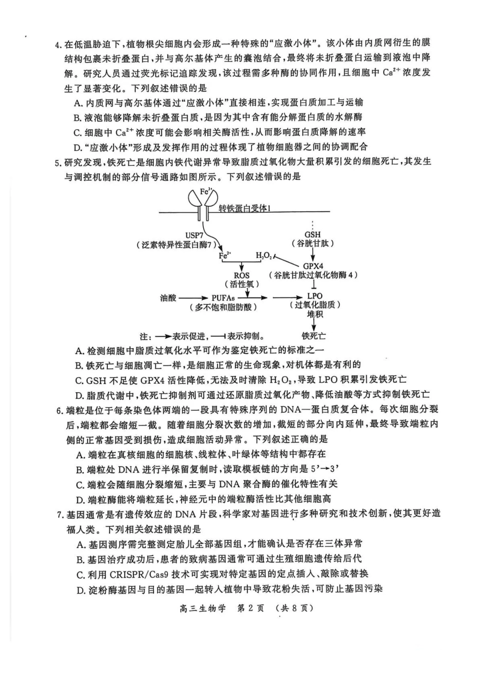 开封市2026届高三年级第一次质量检测生物.pdf_第2页