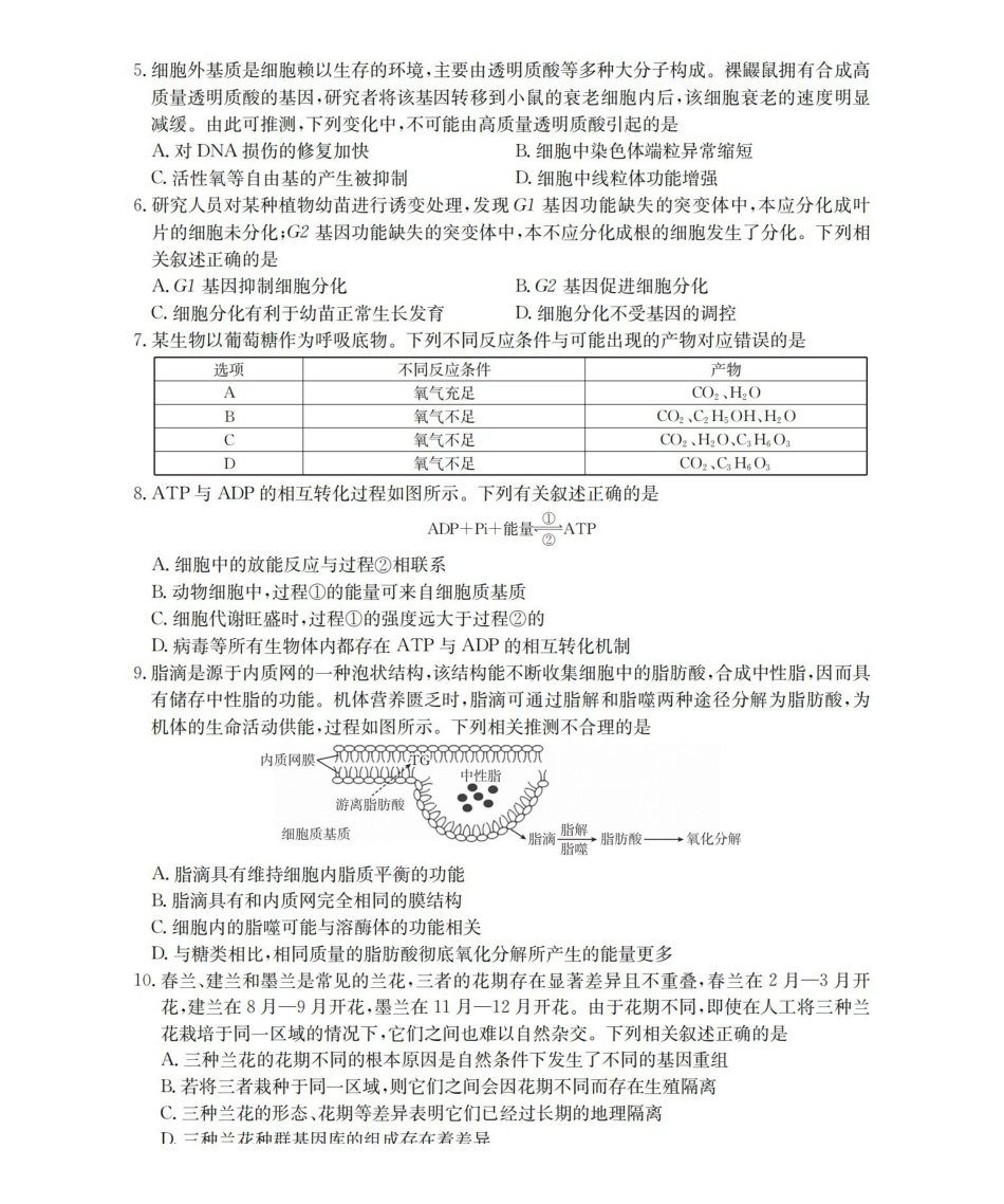 辽宁2026届高三上学期12月联考（26-162C）生物.pdf_第2页