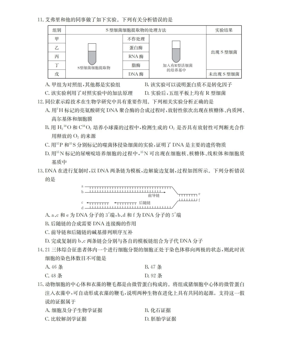 辽宁2026届高三上学期12月联考（26-162C）生物.pdf_第3页