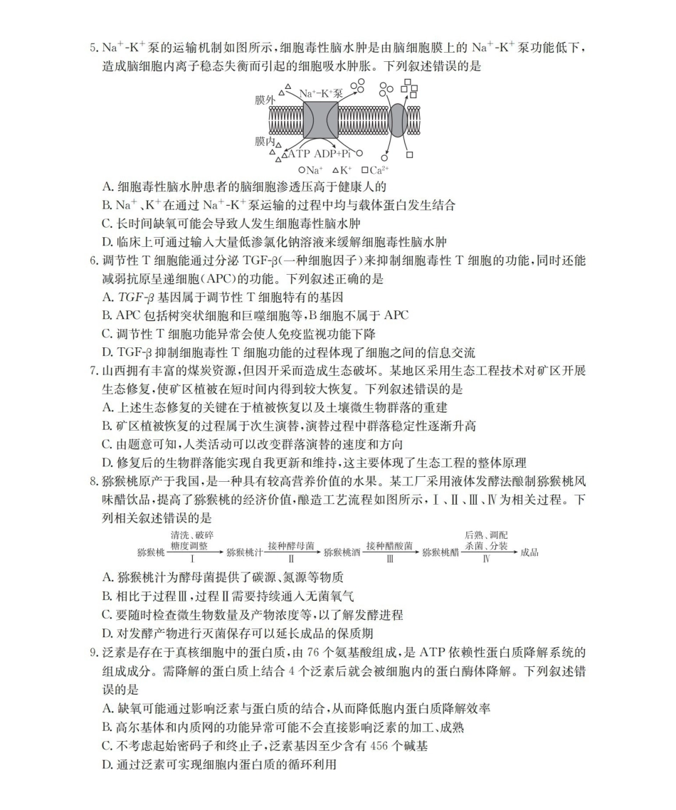 内蒙古2026届高三上学期12月联考（26-145C）生物.pdf_第2页