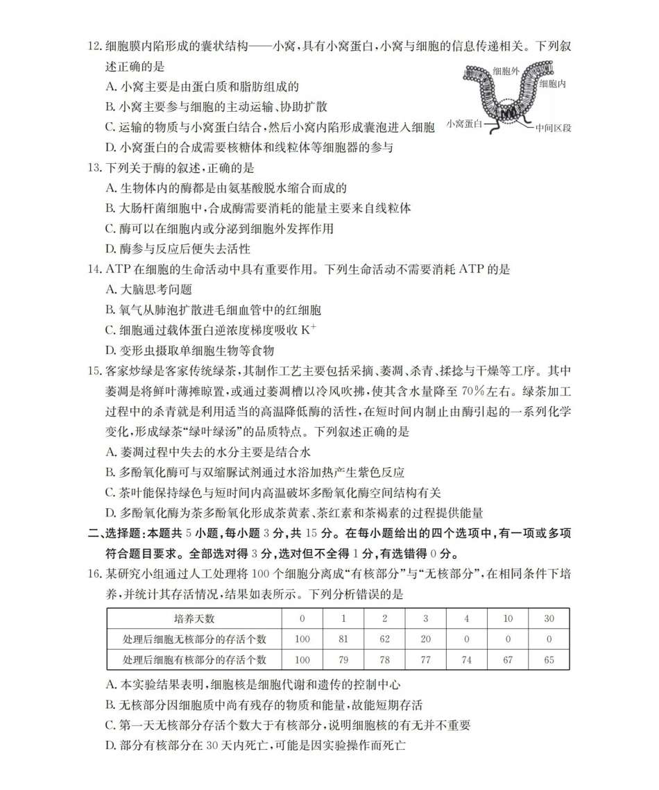 内蒙古赤峰市全市优质高中联盟2025-2026学年高一上学期12月月考（26-184A）生物.pdf_第3页