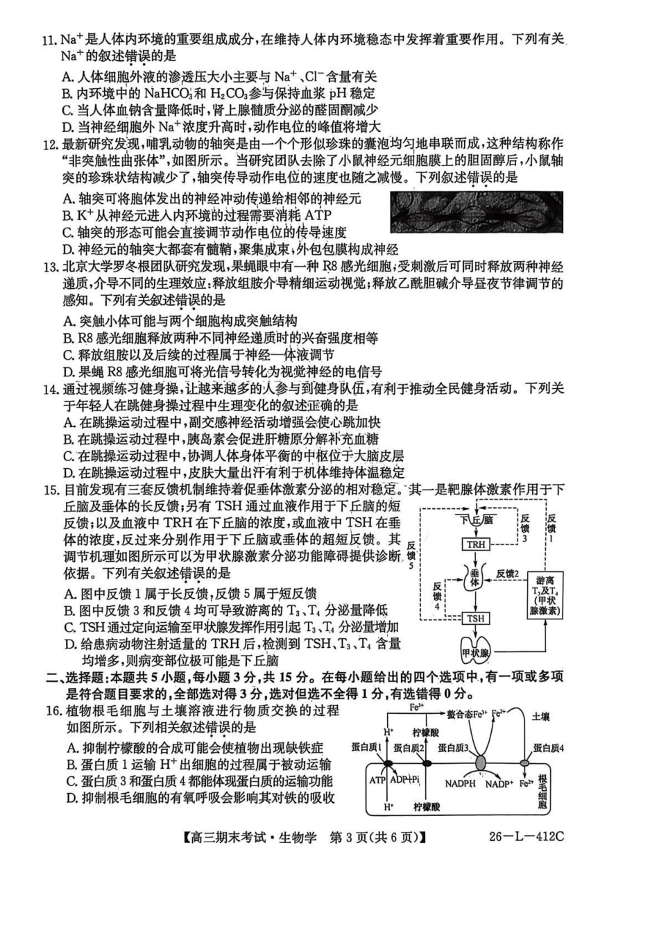 齐齐哈尔市2025~2026学年度上学期高三期末考试（26-L-412C）生物.pdf_第3页