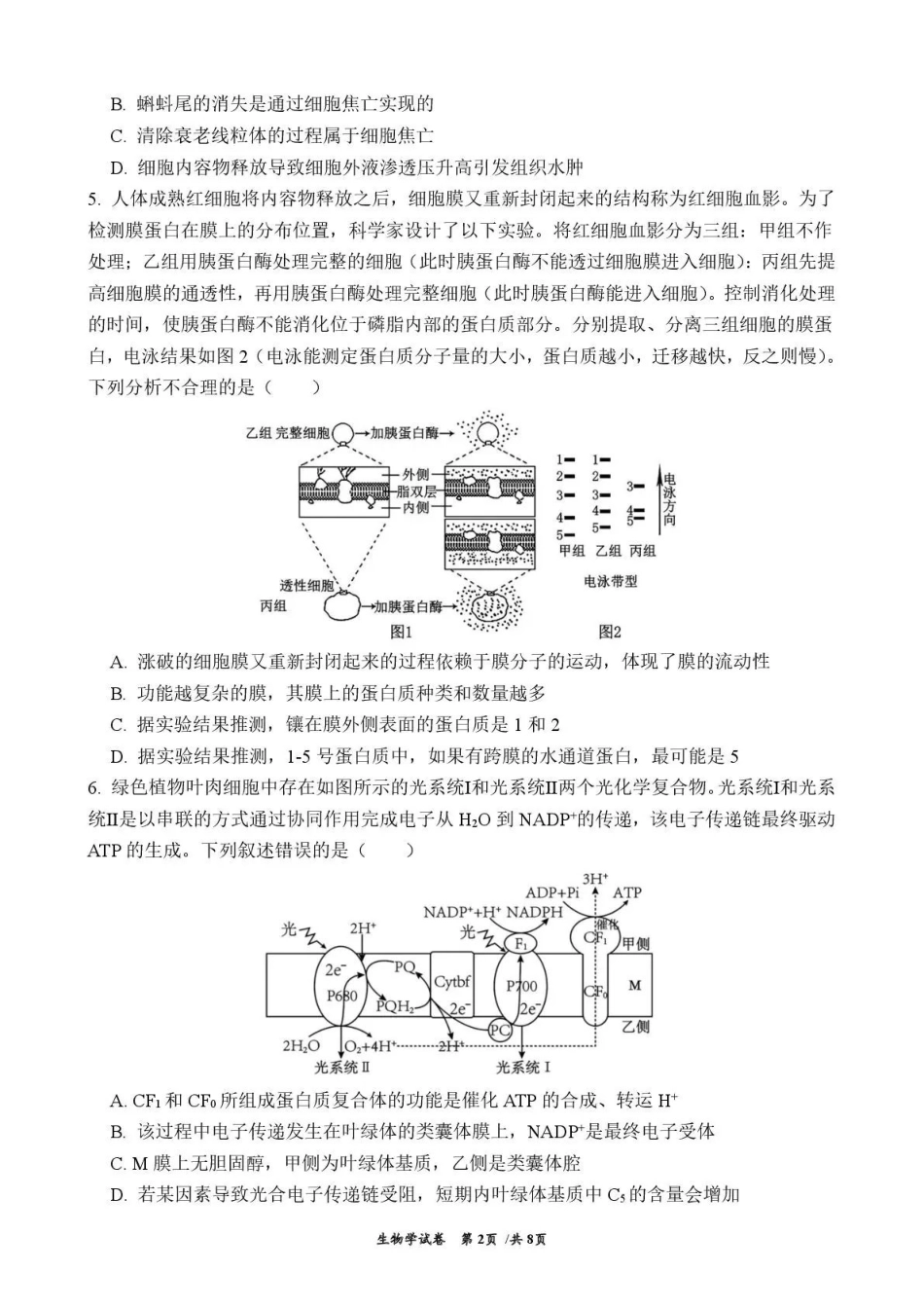 曲靖市第一中学2026届高三上学期教学质量检测四生物.pdf_第2页