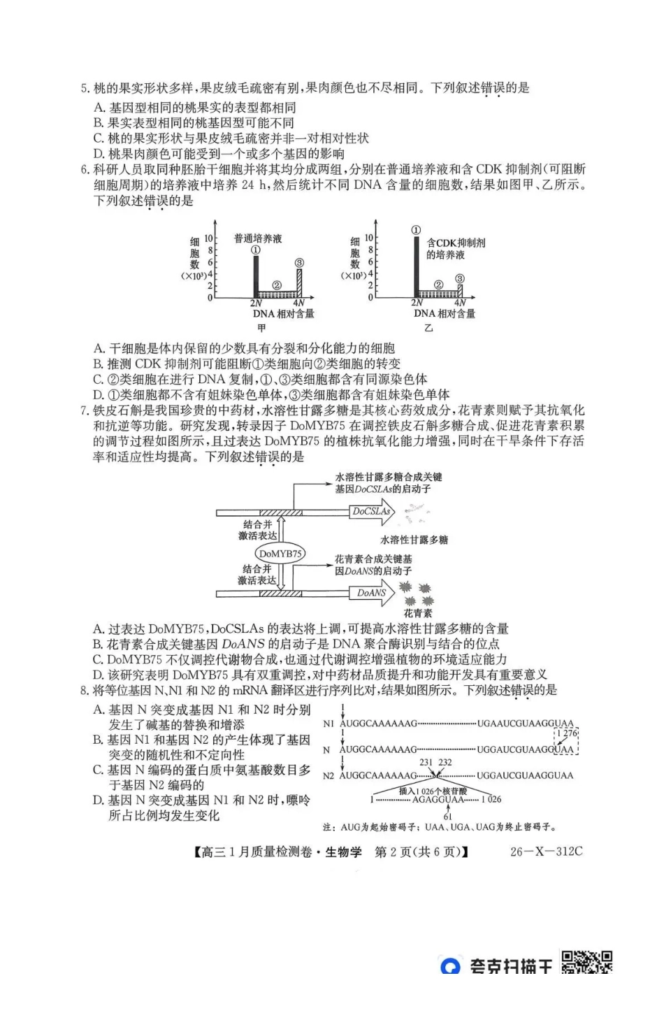 三晋卓越联盟2025~2026学年高三1月质量检测卷(26-X-312C)生物.pdf_第2页