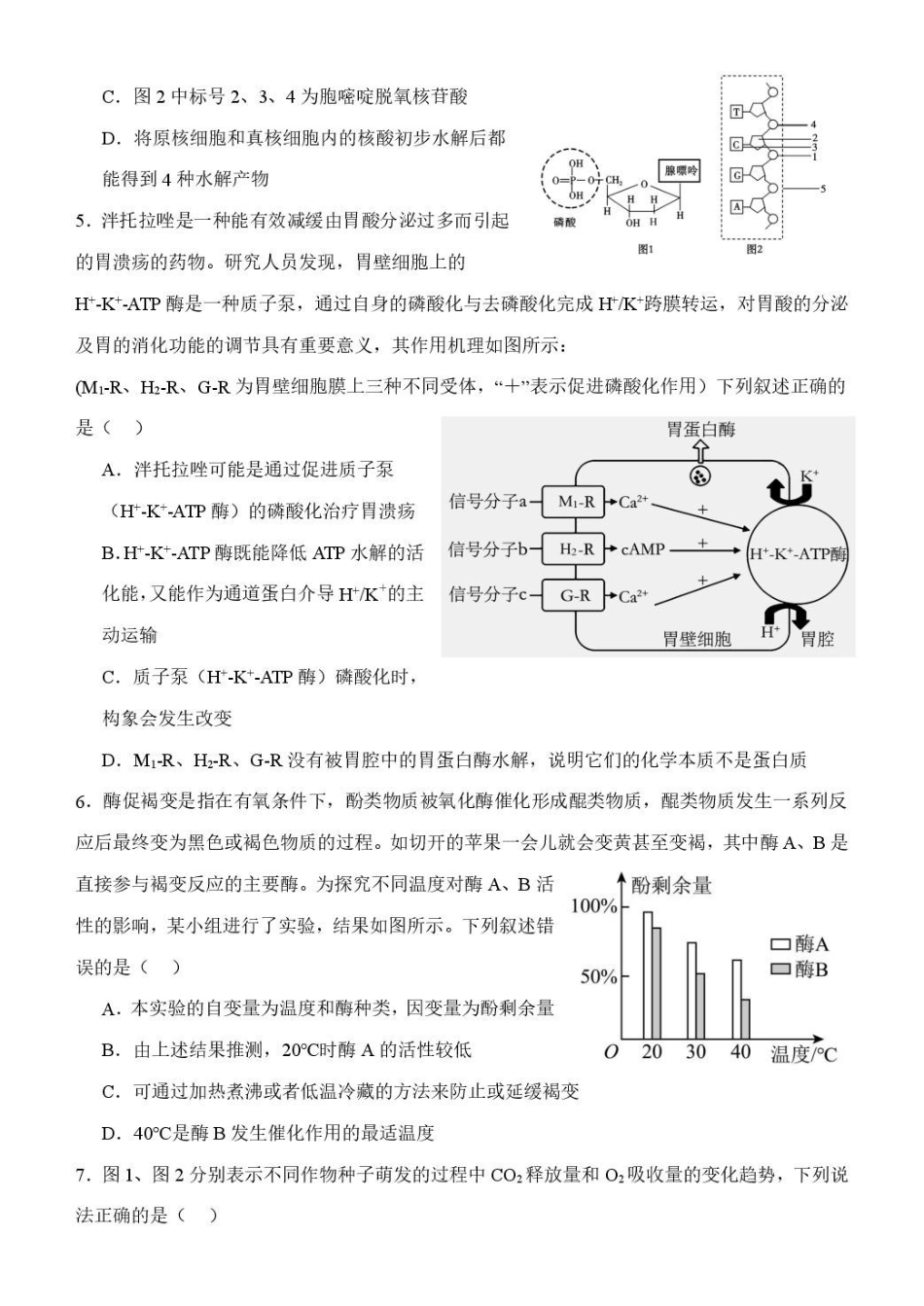 山东潍坊市诸城繁华中学2025-2026学年高一上学期12月质量检测生物试卷（含解析）.pdf_第2页