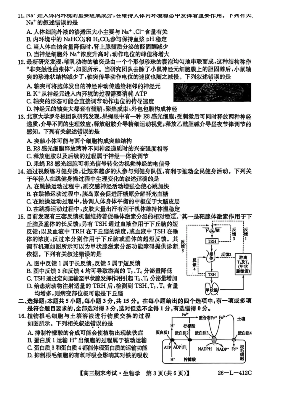 生物（26—L—412C）黑龙江齐齐哈尔市齐齐哈尔市普高联谊校2025-2026学年度2026届高三上学期1月期末考试（26—L—412C）(1.6-1.7).pdf_第3页
