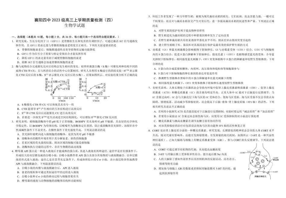 生物+答案湖北襄阳四中2023级(2026届)高三上学期质量检测(四)(12月月考)(12.3-12.4).pdf_第1页