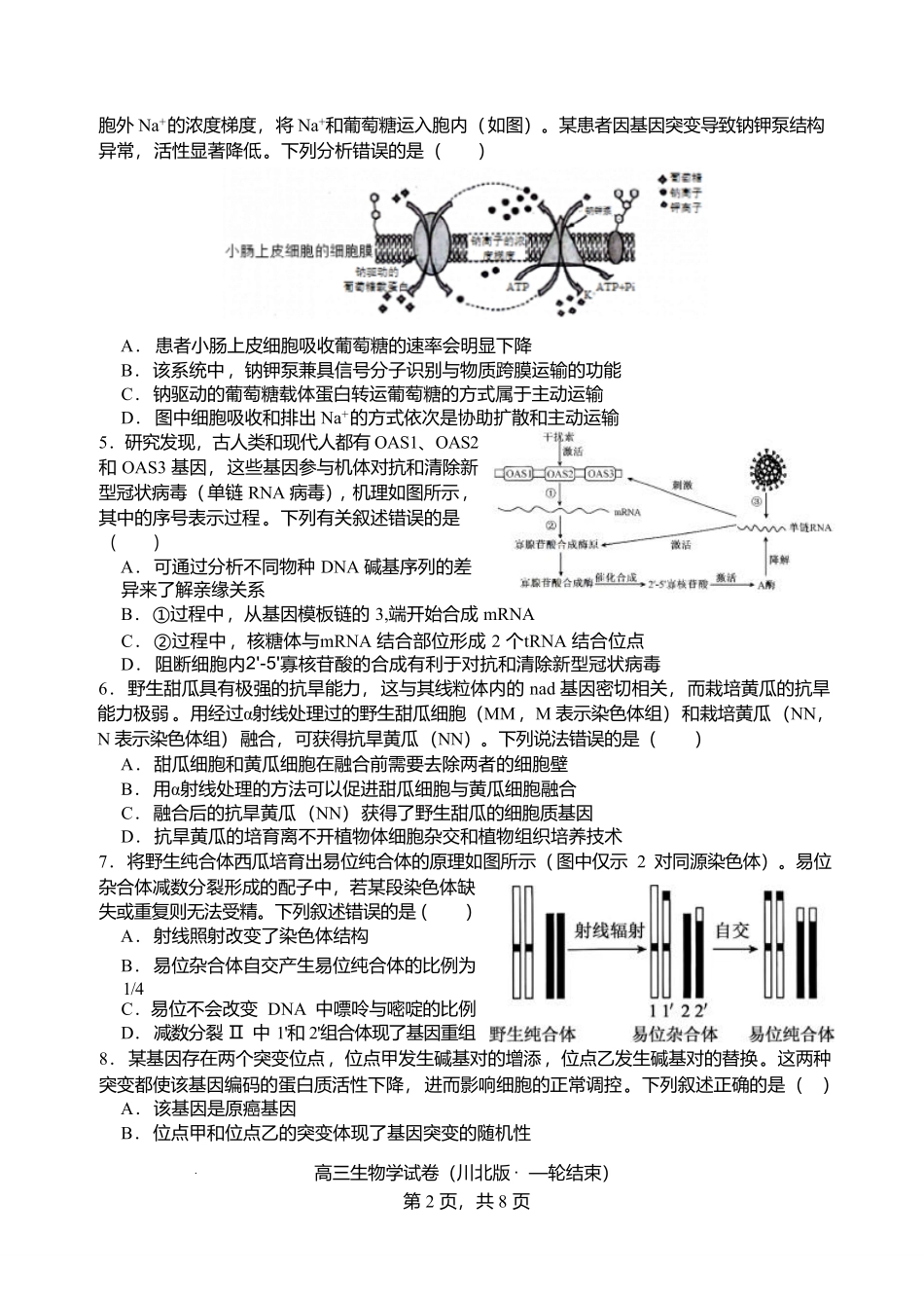 生物+解析答案四川字节精准教育联盟2026年普通高等学校招生全国统一考试暨高三上学期1月第二阶段学情调研测试（1.9-1.10）.pdf_第2页