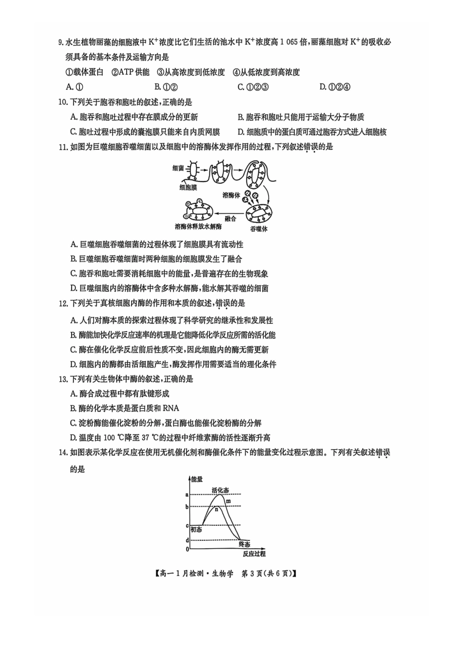 生物河南洛阳强基联盟2025-2026学年2028届高一上学期1月检测((1.4-1.5).pdf_第3页