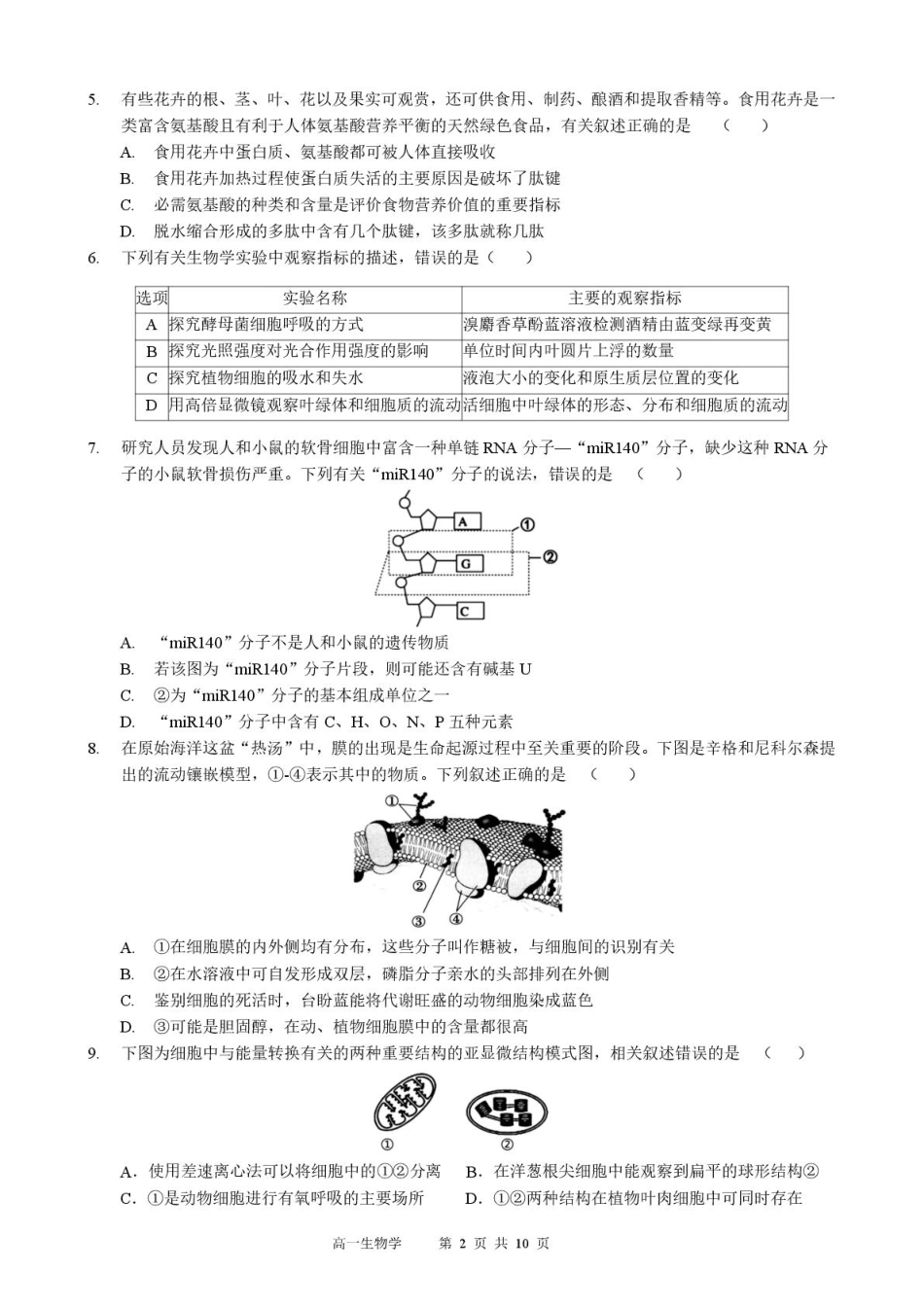 生物黑龙江哈尔滨市2025级(2028届)高一学年上学期期末学业质量检测(1.12-1.14).pdf_第2页
