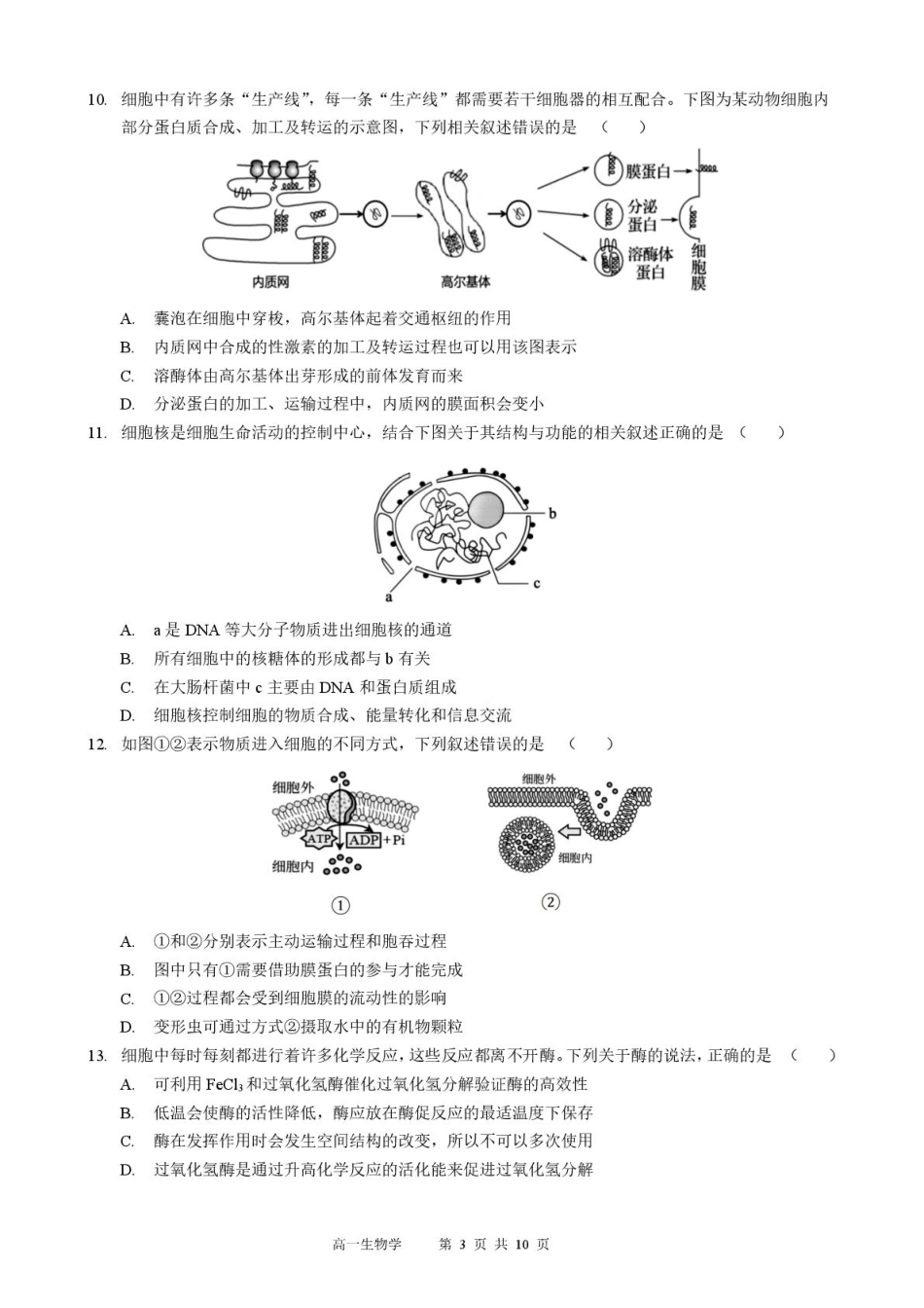 生物黑龙江哈尔滨市2025级(2028届)高一学年上学期期末学业质量检测(1.12-1.14).pdf_第3页