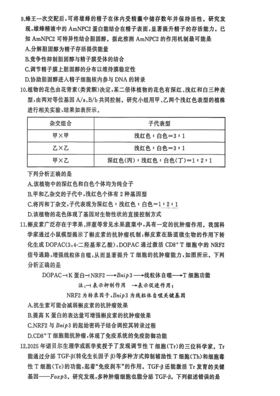 生物湖北黄冈市2025年秋季高三1月期末考试(1.7-1.8).pdf_第3页