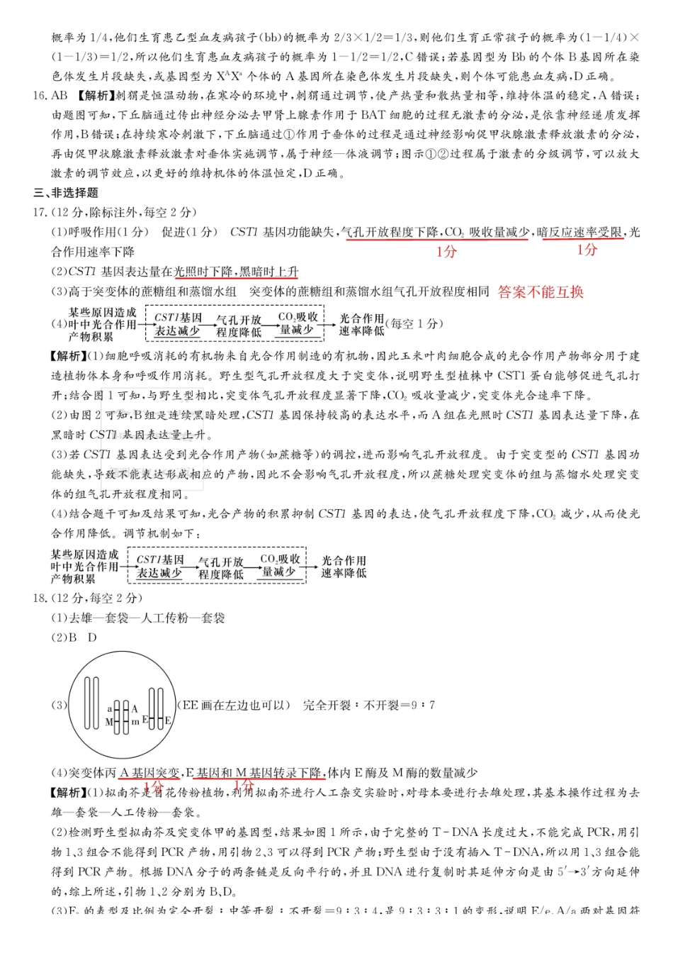 生物湖南湖南师大附中2026届高三月考试卷（四）（11.27-11.28）.pdf_第3页