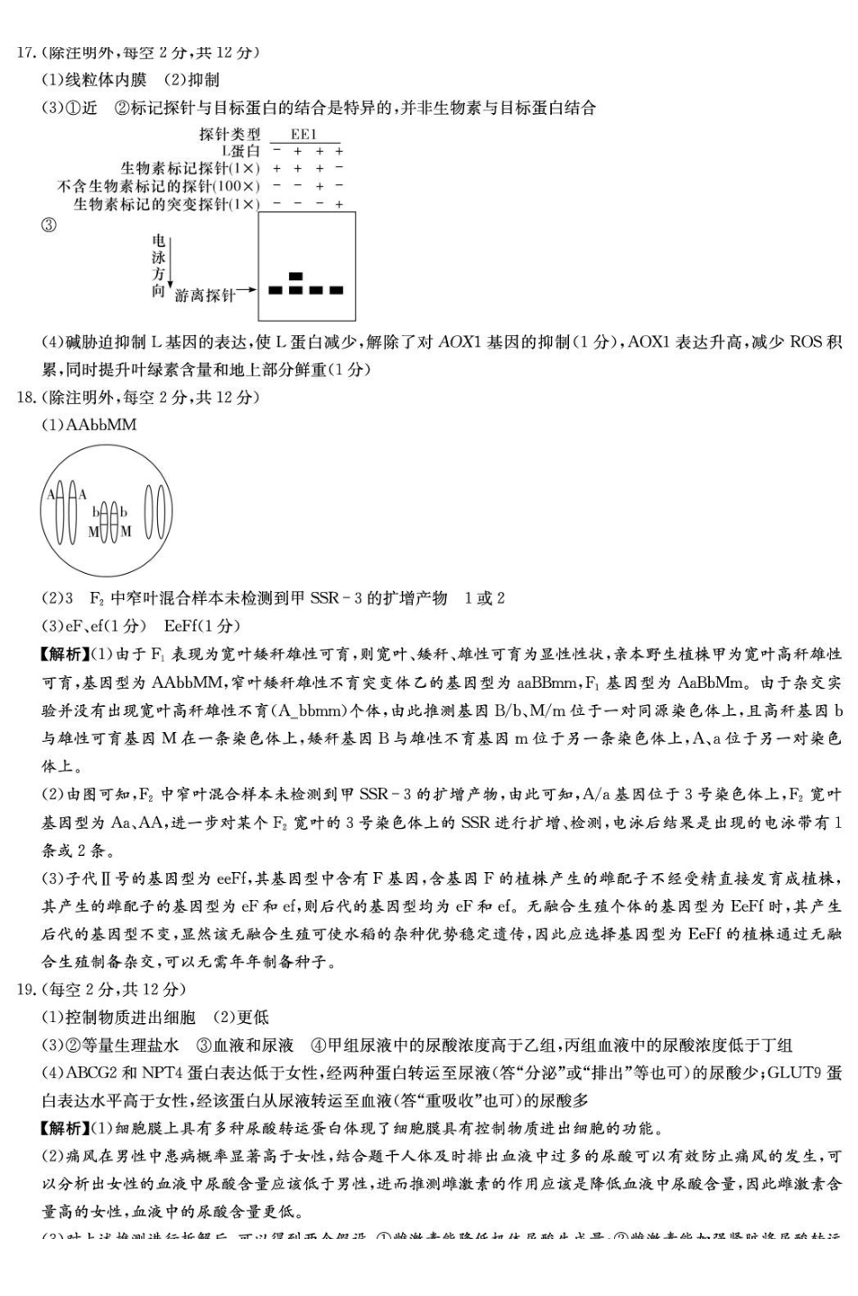 生物湖南长沙市长沙市长郡中学2025-2026学年2026届高三上学期月考试卷（五）(1.4-1.5).pdf_第3页