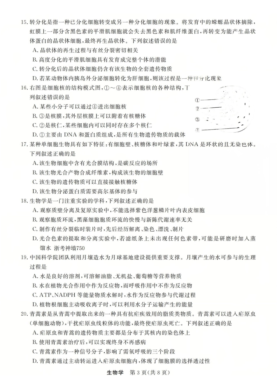 生物卷-2512高一强基联盟.pdf_第3页