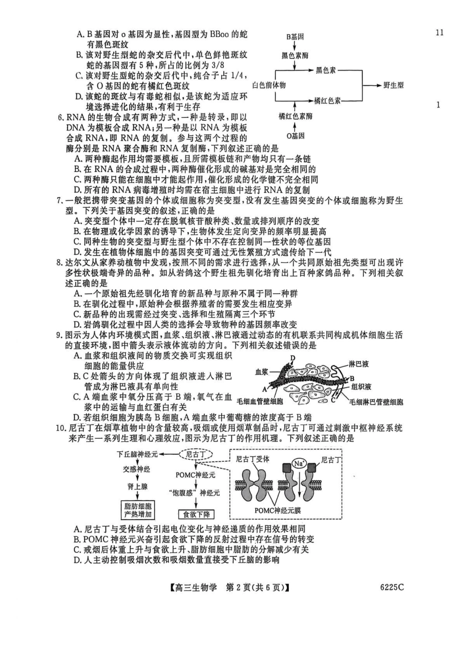 生物山东大联考2025-2026学年高三上学期12月月考(6255C)(12.26-12.27).pdf_第2页