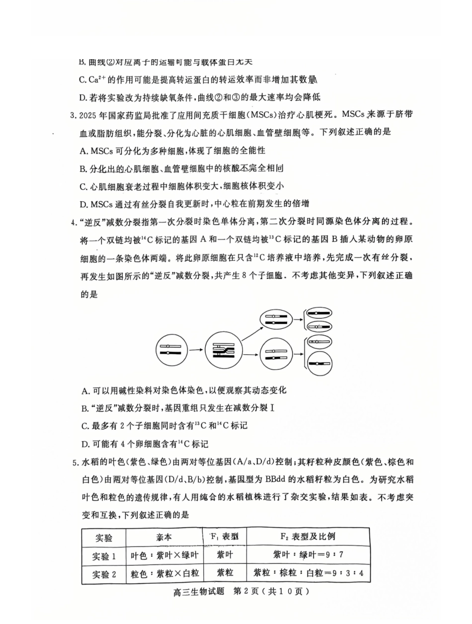 生物山东济宁市2025-2026学年第一学期高三质量检测(济宁一模)(1.7-1.8).pdf_第2页