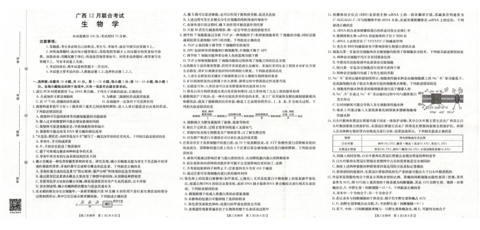 生物试卷()广西壮族自治区金太阳2025届高三上学期12月联考(12.23-12.24).pdf_第1页