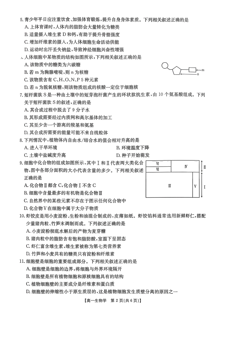 生物试卷(26-11-149A)广东金太阳2028届高一上学期12月联考（26-149A）(12.18-12.19).pdf_第2页