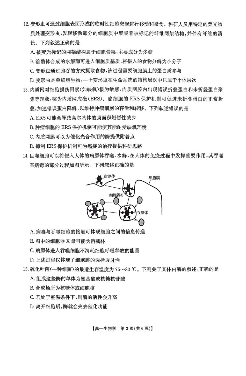 生物试卷(26-11-149A)广东金太阳2028届高一上学期12月联考（26-149A）(12.18-12.19).pdf_第3页