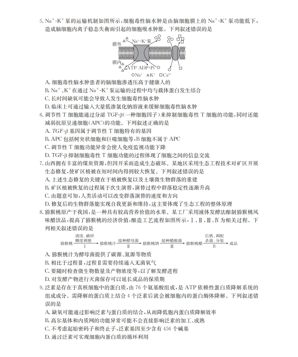 生物试卷(26-145C)内蒙古金太阳2026届高三上学期12月联考（26-145C）（12.24-12.25）.pdf_第2页