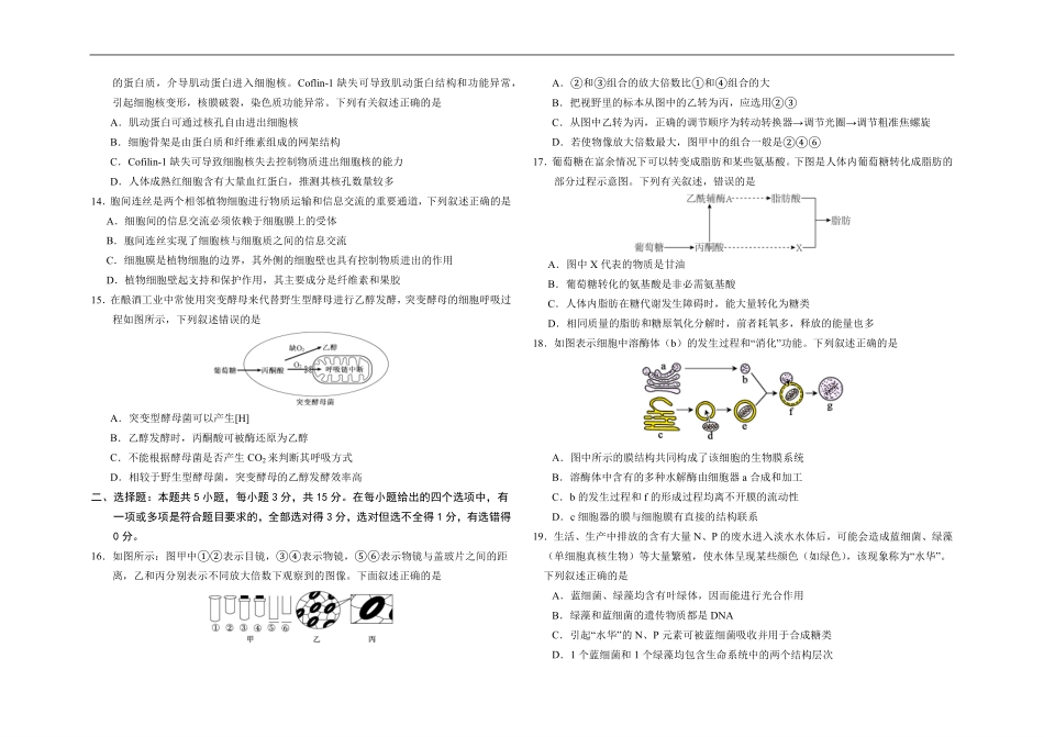生物试卷+答案吉林长春外国语学校2025-2026学年第一学期高一年级第二次(12月)月考(12.25左右).pdf_第3页