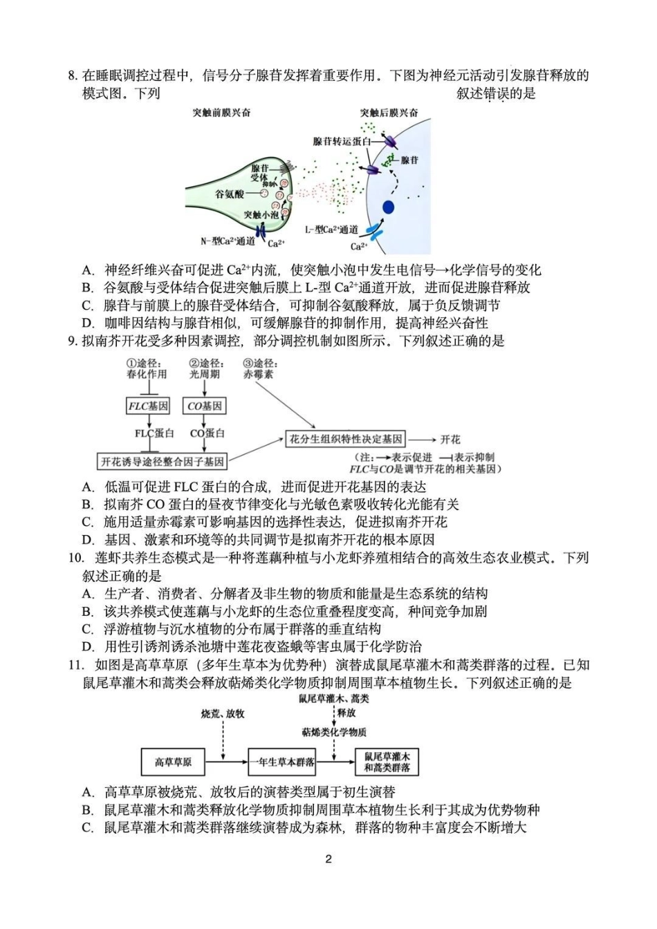 生物试卷+答案江苏（南师附中、天一、海安、海门）四校2026届高三年级上学期12月份测试()(12.24-12.26).pdf_第2页