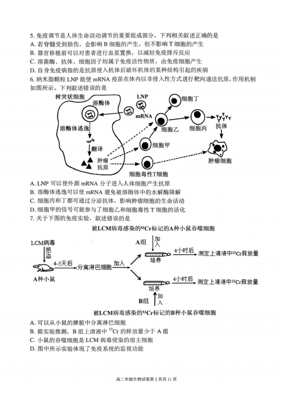生物试卷-2027届辽宁五校联盟高二上学期期末考试(东北育才、实验、大连8、24中、鞍山一中).pdf_第2页
