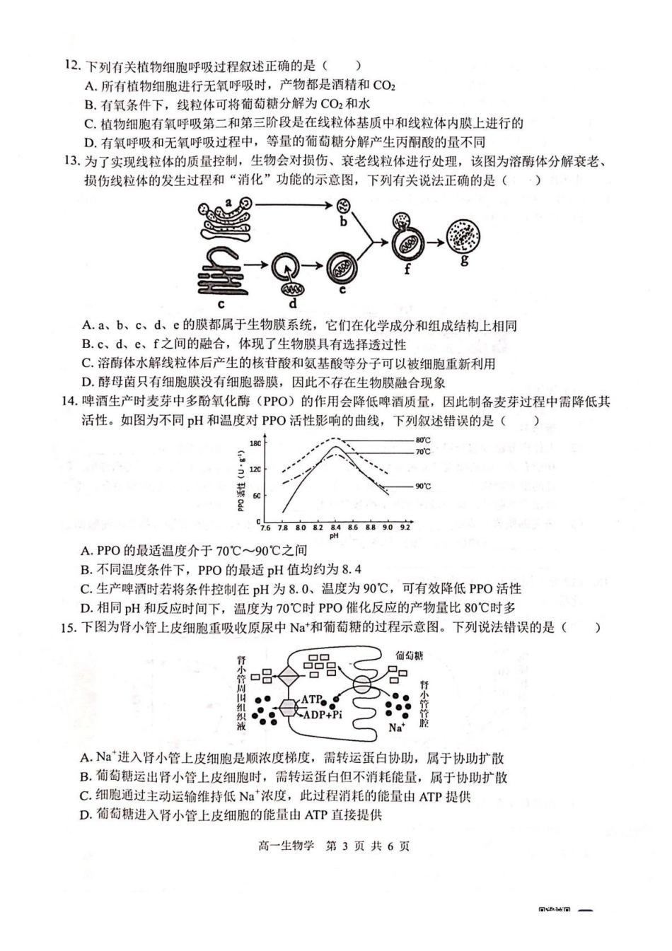 生物试卷广西壮族自治区“贵百河”2025级12月高一年级新高考月考测试(12.22-12.23).pdf_第3页