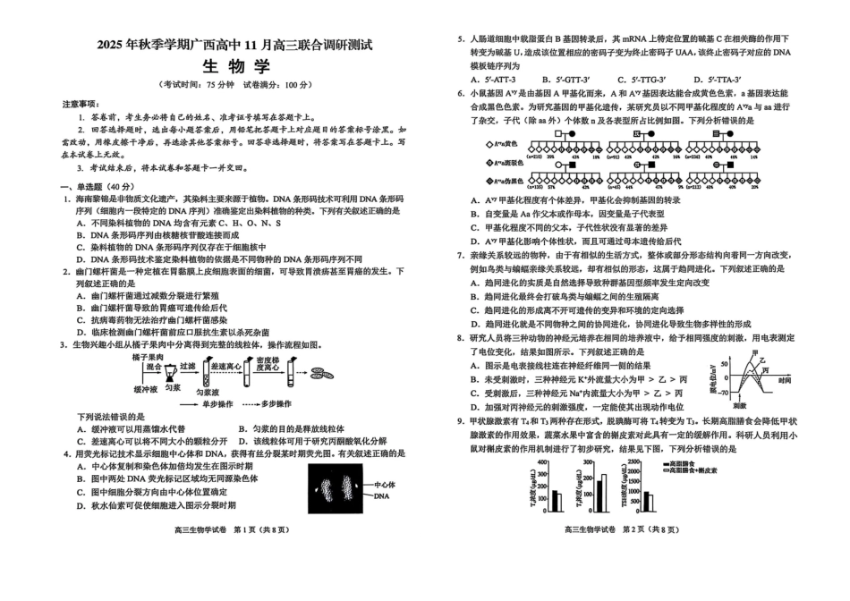 生物试卷广西壮族自治区2025年秋季学期高中11月高三联合调研测试(11.25-11.26).pdf_第1页
