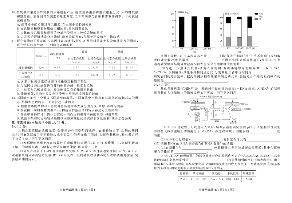 生物试卷河北衡水金卷2025-2026学年2026届高三上学期12月份联考(12.24-12.25).pdf_第3页
